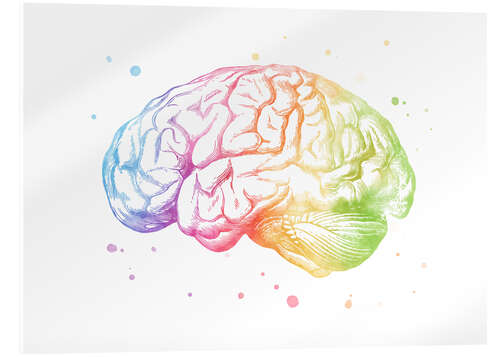 Obraz na szkle akrylowym Rainbow brain