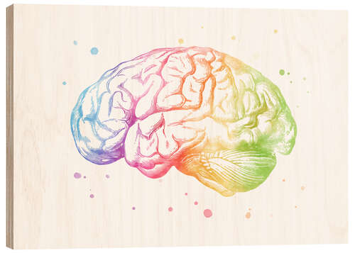 Obraz na drewnie Rainbow brain