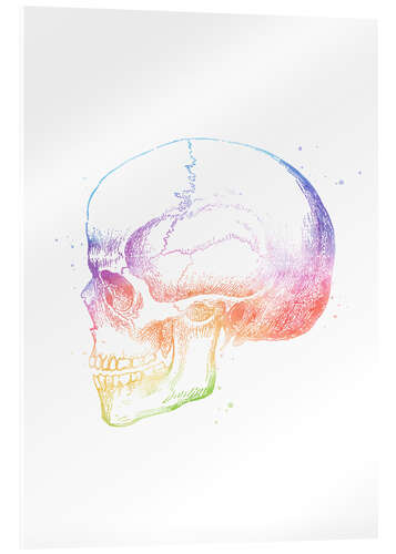 Quadro em acrílico Rainbow Skull