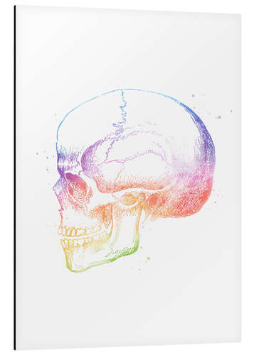 Obraz na aluminium Rainbow Skull
