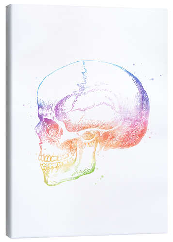 Quadro em tela Rainbow Skull