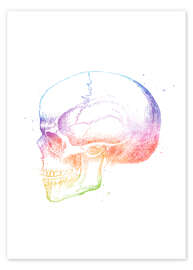 Póster  Cráneo del arco iris - Mod Pop Deco