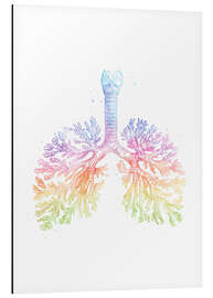 Magnettafel Regenbogen-Lungenbläschen