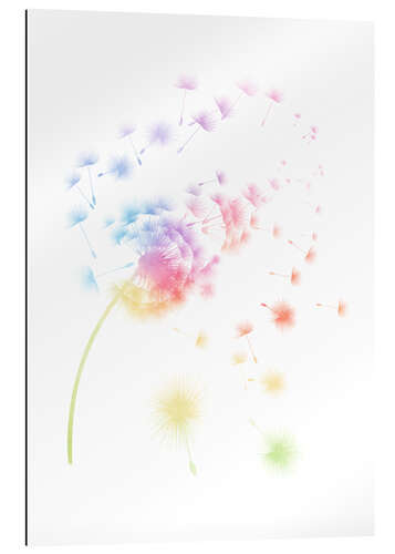 Gallery print Rainbow dandelions