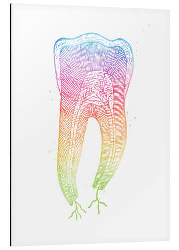 Aluminium print Rainbow tooth root