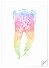 Selvklebende plakat Rainbow tooth root