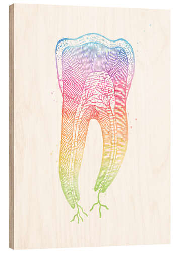 Holzbild Regenbogen-Zahnwurzel