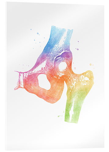 Acrylic print Rainbow hips