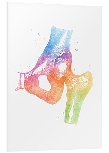 Foam board print Rainbow hips