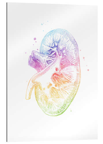 Galleriprint Rainbow kidney