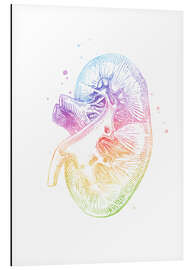 Magnettafel Regenbogen-Niere