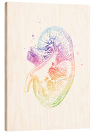 Wood print Rainbow kidney