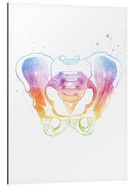 Aluminium print Rainbow pelvic bones