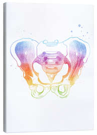 Canvas print  Rainbow pelvic bones - Mod Pop Deco