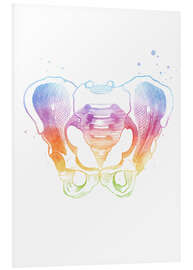 Foam board print Rainbow pelvic bones