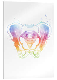 Galleriprint Rainbow pelvic bones