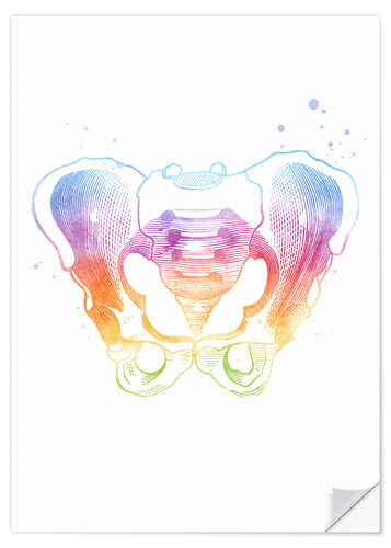 Selvklebende plakat Rainbow pelvic bones