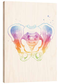 Wood print Rainbow pelvic bones