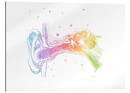 Gallery print Rainbow ear