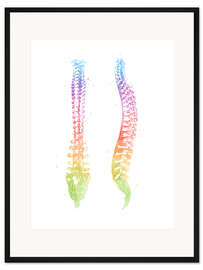 Gerahmter Kunstdruck Regenbogen-Wirbelsäule