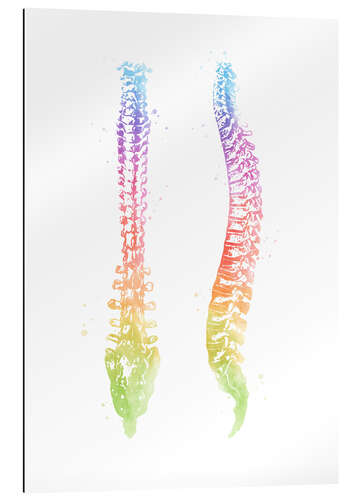 Gallery print Rainbow spine