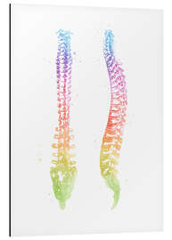 Magnettafel Regenbogen-Wirbelsäule