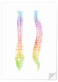 Wall sticker Rainbow spine