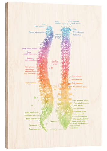Stampa su legno Colonna vertebrale
