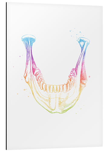 Aluminium print Rainbow lower jaw