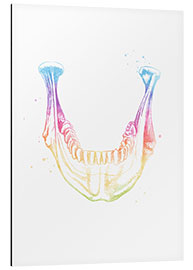 Aluminium print Rainbow lower jaw