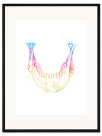 Gerahmter Kunstdruck Regenbogen-Unterkiefer