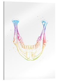 Galleriataulu Rainbow lower jaw