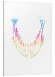 Magnettafel Regenbogen-Unterkiefer