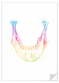 Selvklebende plakat Rainbow lower jaw