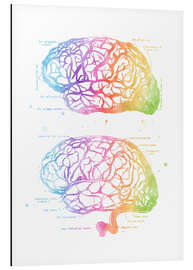 Cuadro de aluminio Anatomía del cerebro humano (inglés)