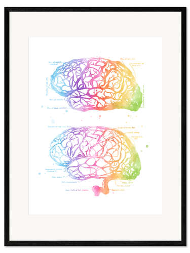 Ingelijste kunstdruk Rainbow brain, labeled