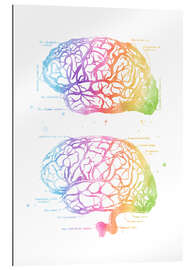 Quadro em plexi-alumínio Cérebro arco-íris, rotulado