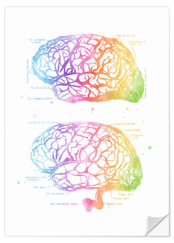 Muursticker Rainbow brain, labeled