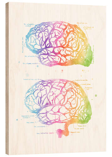 Obraz na drewnie Rainbow brain, labeled