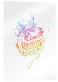 Stampa su vetro acrilico Organi digestivi arcobaleno - Mod Pop Deco