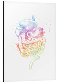 Magnettafel Regenbogen-Verdaungsorgane