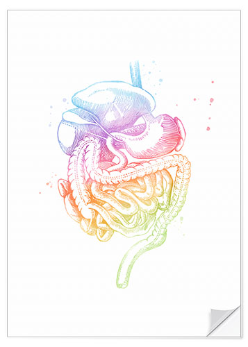 Selvklebende plakat Rainbow digestive organs