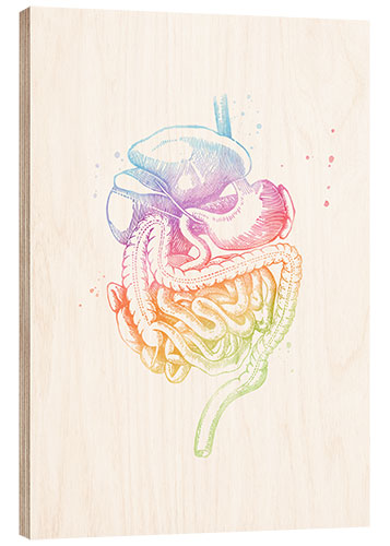 Wood print Rainbow digestive organs