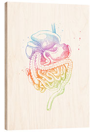 Wood print Rainbow digestive organs