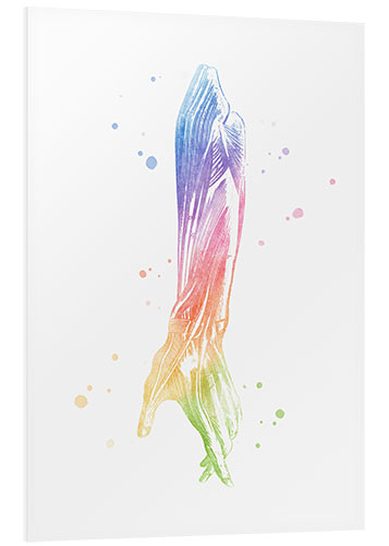 Stampa su PVC Braccio arcobaleno