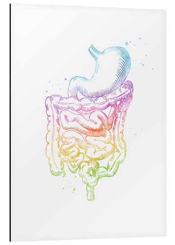 Alubild Regenbogen-Darm