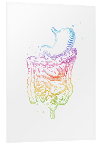 Stampa su PVC Intestini arcobaleno