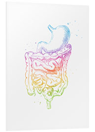 Stampa su PVC Intestini arcobaleno