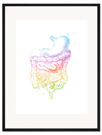 Gerahmter Kunstdruck Regenbogen-Darm