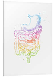 Magnettafel Regenbogen-Darm